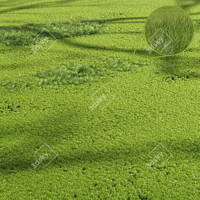 Grassland Summer 3D Models Set 3D model image 1