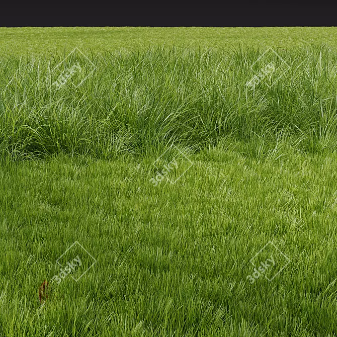 Grassland Summer 3D Models Set 3D model image 2