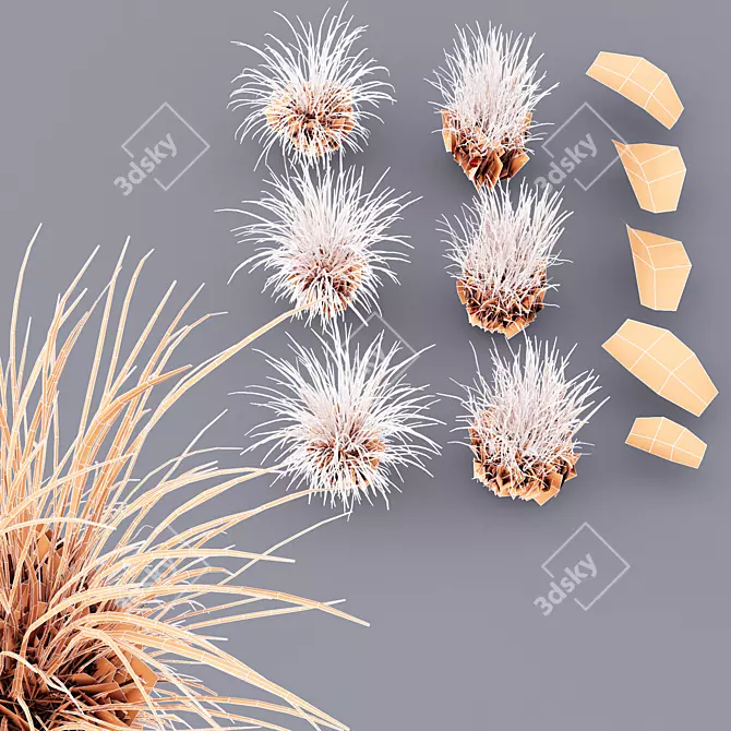 Grassland Summer 3D Models Set 3D model image 4