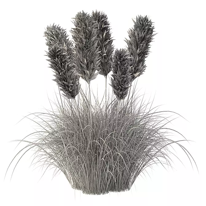 Wild Grass & Pampas Decor 3D model image 3