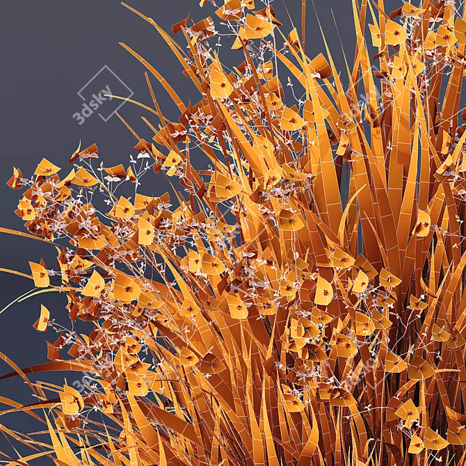 New Zealand Iris Grassy Perennial 3D model image 5