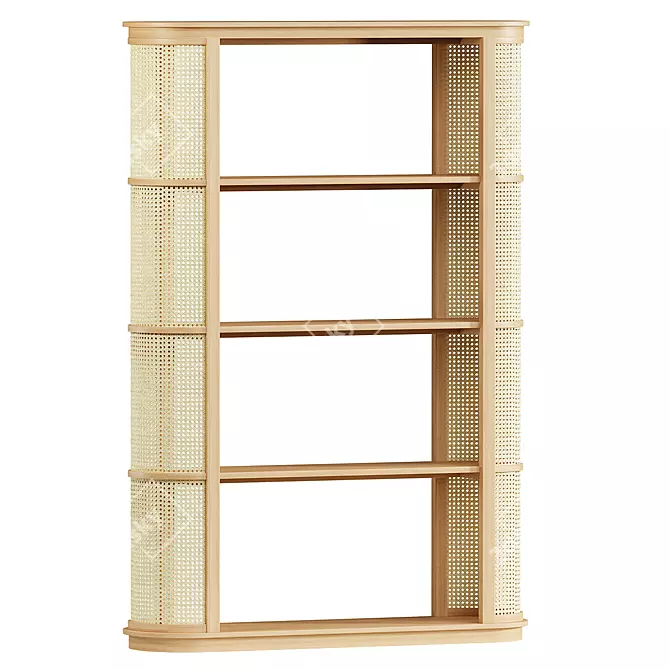 Sleek Cane Bookcase Shelf Display 3D model image 1