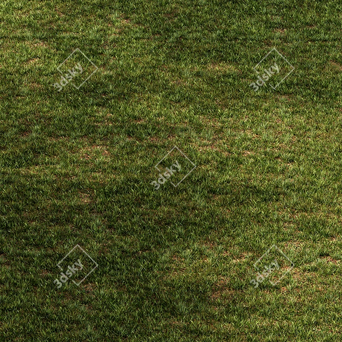 Rectangular Short Grass Set 26 3D model image 1