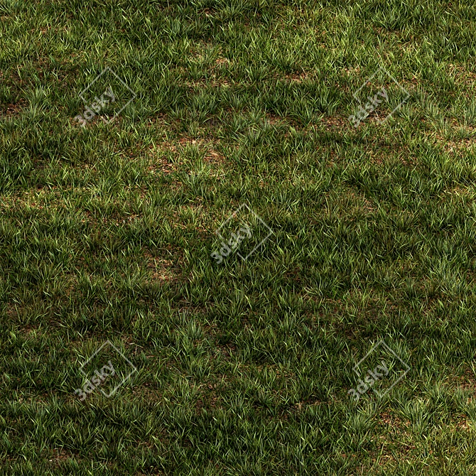 Rectangular Short Grass Set 26 3D model image 2