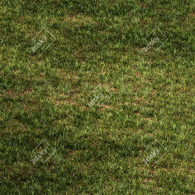 Rectangular Short Grass Set 26 3D model image 3
