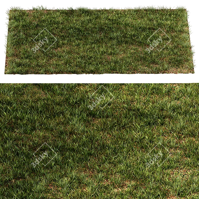 Rectangular Short Grass Set 26 3D model image 4