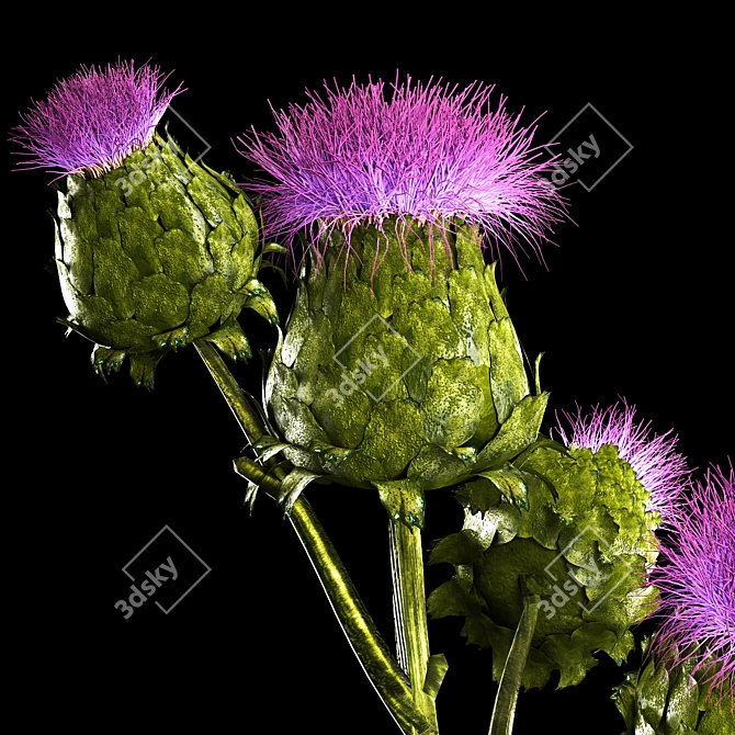 Green Thistle Bouquet in Modern Vase 3D model image 4