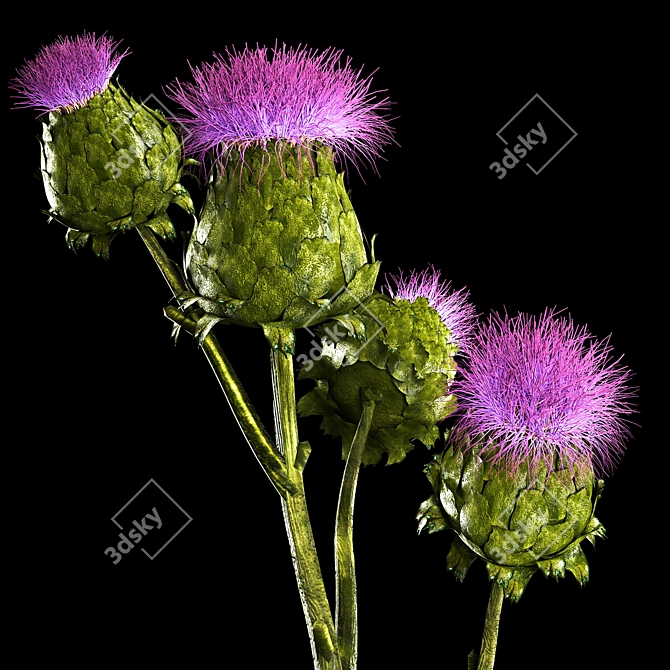 Green Thistle Bouquet in Modern Vase 3D model image 6