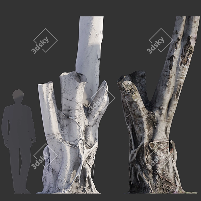 Full-spectrum Ficus Tree Pack 3D model image 4