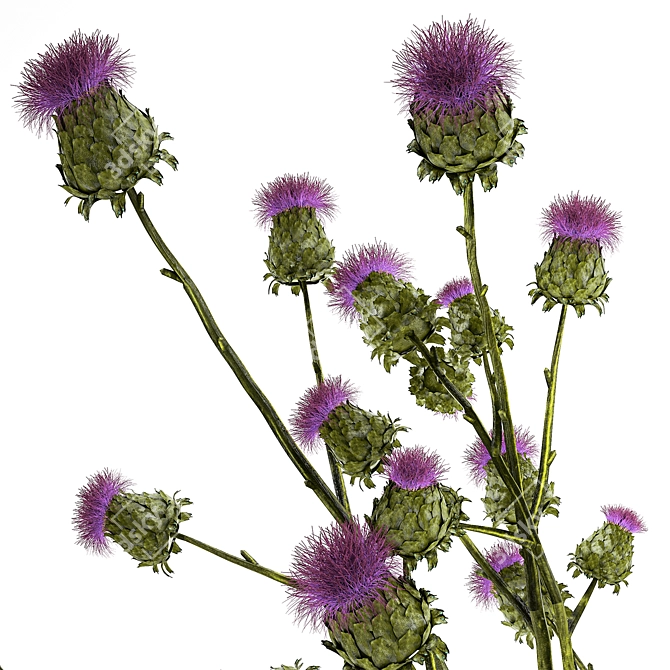 Thistle Thicket Greenery Bouquet 3D model image 4