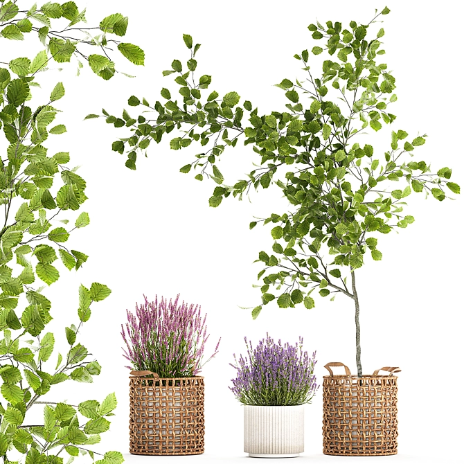 Modern Potted Plant Collection 3D model image 1