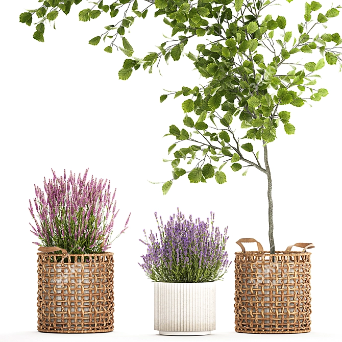 Modern Potted Plant Collection 3D model image 2