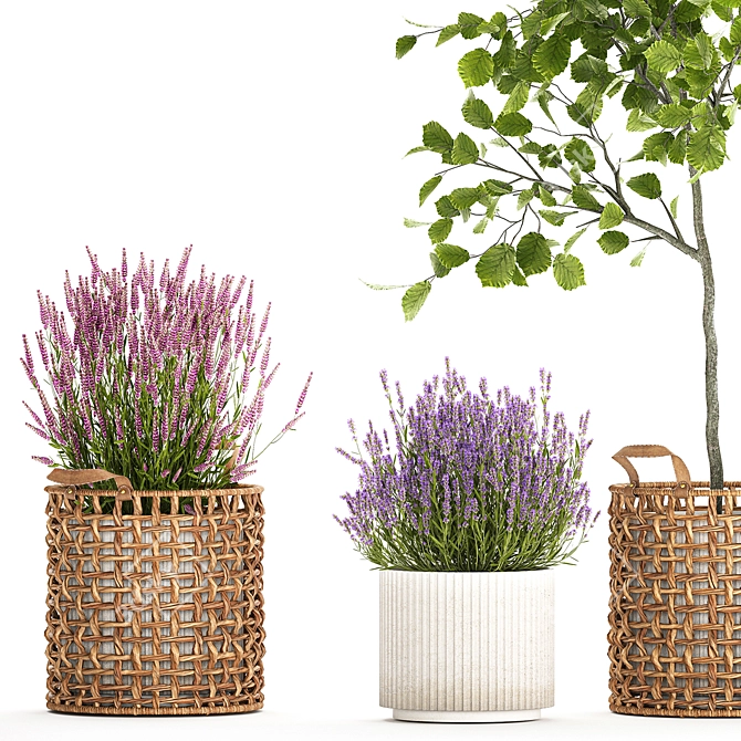 Modern Potted Plant Collection 3D model image 4