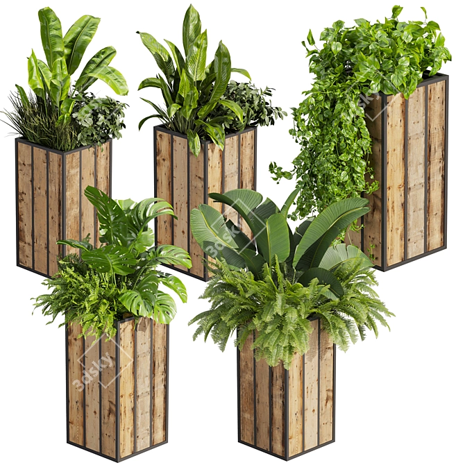 Banana Box Office Plant 3D model image 1