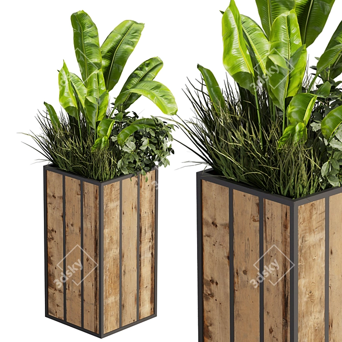 Banana Box Office Plant 3D model image 2