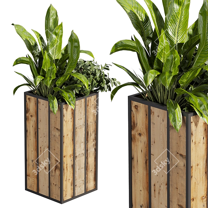 Banana Box Office Plant 3D model image 3