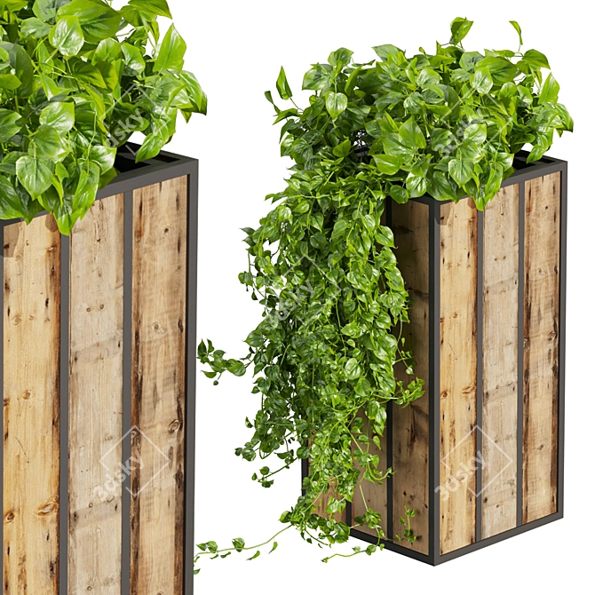 Banana Box Office Plant 3D model image 4