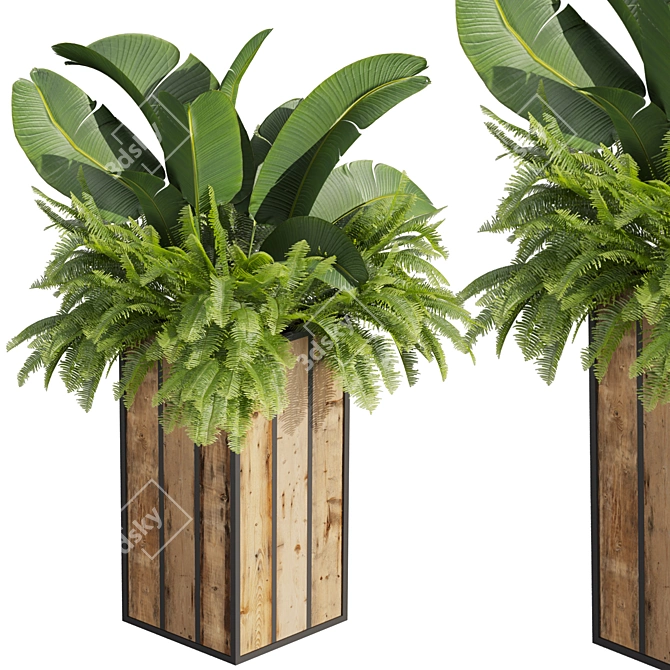 Banana Box Office Plant 3D model image 5