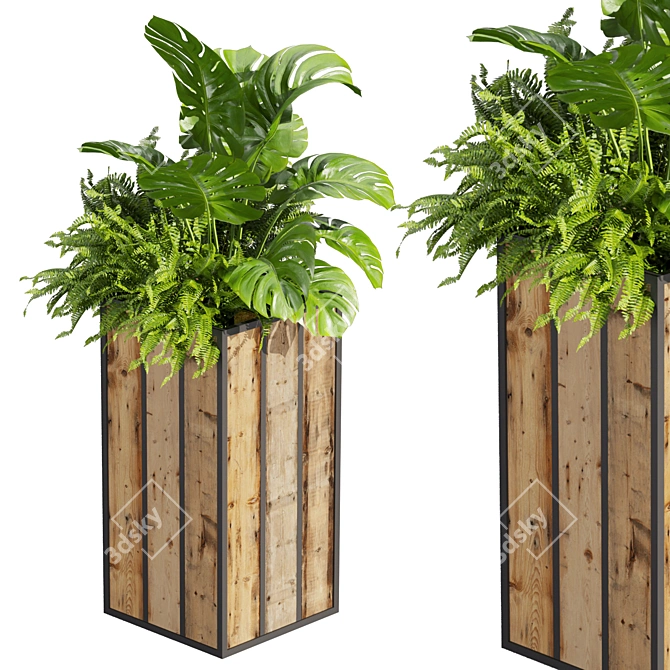 Banana Box Office Plant 3D model image 6