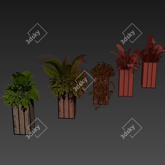 Banana Box Office Plant 3D model image 7
