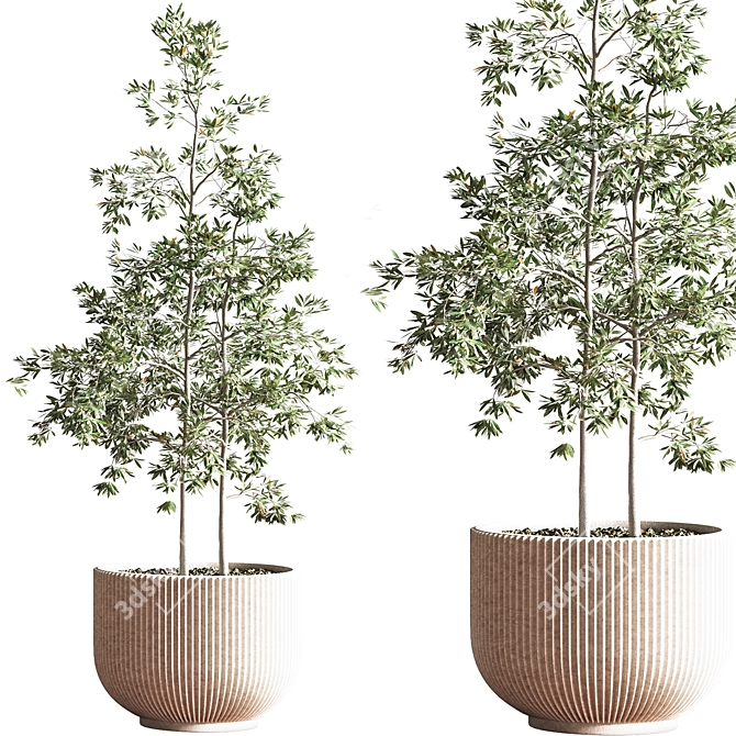 Modern Indoor Plant Set - 3Ds Max & OBJ 3D model image 8
