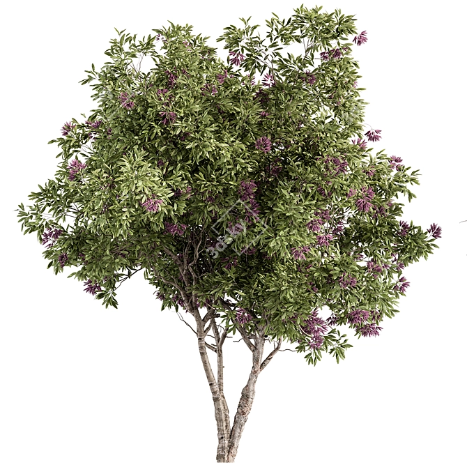 Oleander Tree Set 229 3D model image 1
