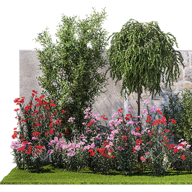 Elegant Landscaping Kit with Oleander and Olive 3D model image 2