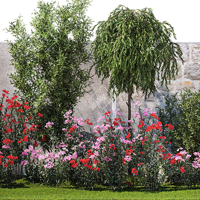 Elegant Landscaping Kit with Oleander and Olive 3D model image 5