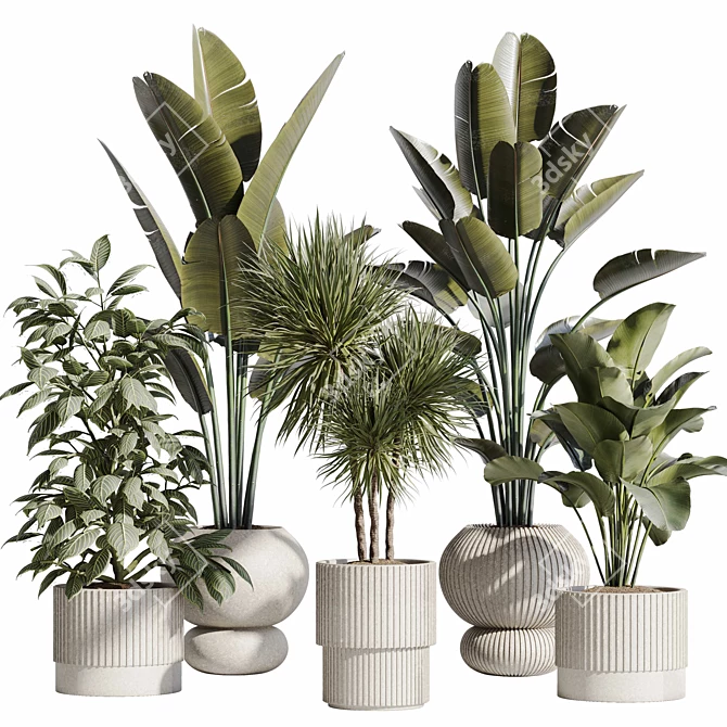 Botanical Theme Plant Set - 3D Simulation 3D model image 8