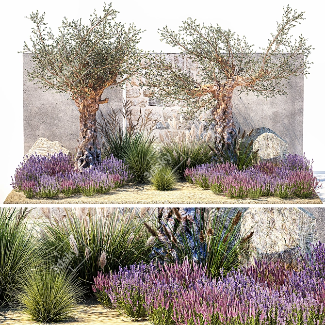 Lavender & Olive Collection 3D model image 1