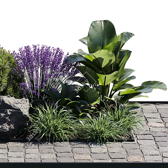21-Piece Outdoor Plant Set 3D model image 6