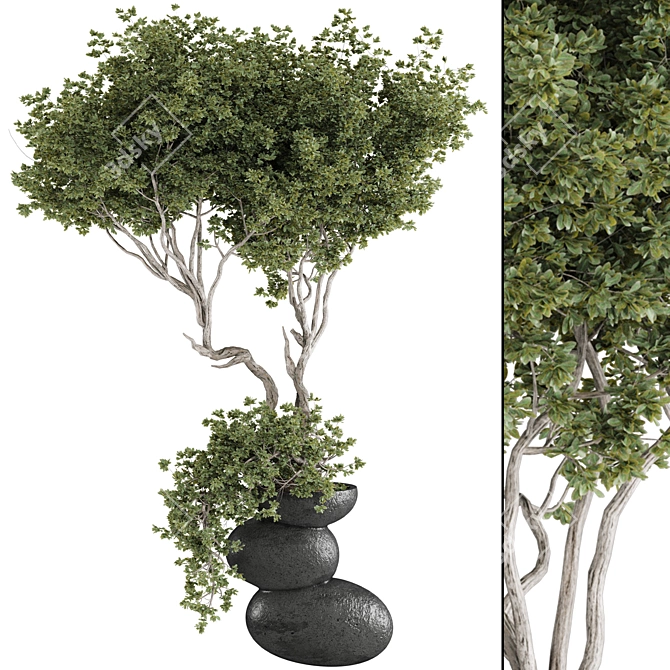 Max 2015 + Material Library + OBJ 3D model image 4