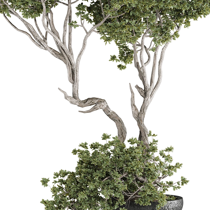 Max 2015 + Material Library + OBJ 3D model image 6