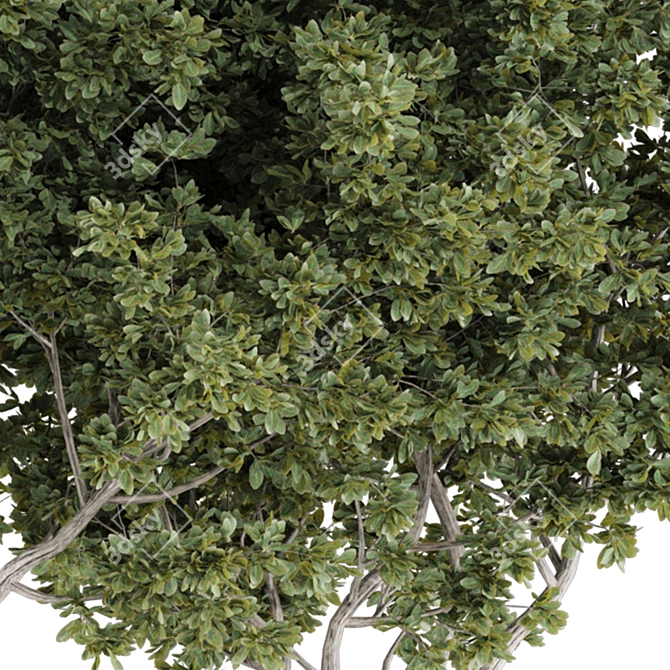 Max 2015 + Material Library + OBJ 3D model image 1