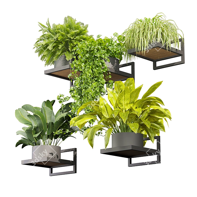 Premium Hanging Plant Collection Vol. 516 3D model image 2