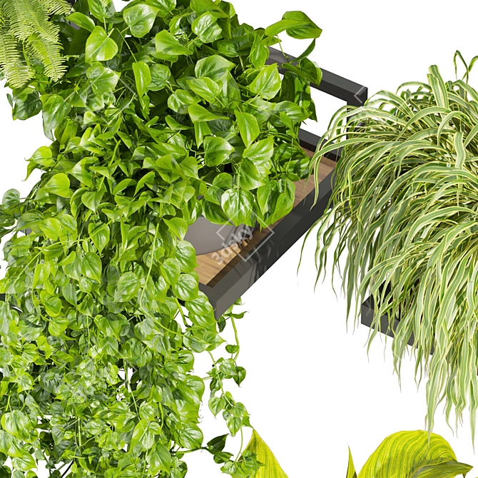 Premium Hanging Plant Collection Vol. 516 3D model image 4