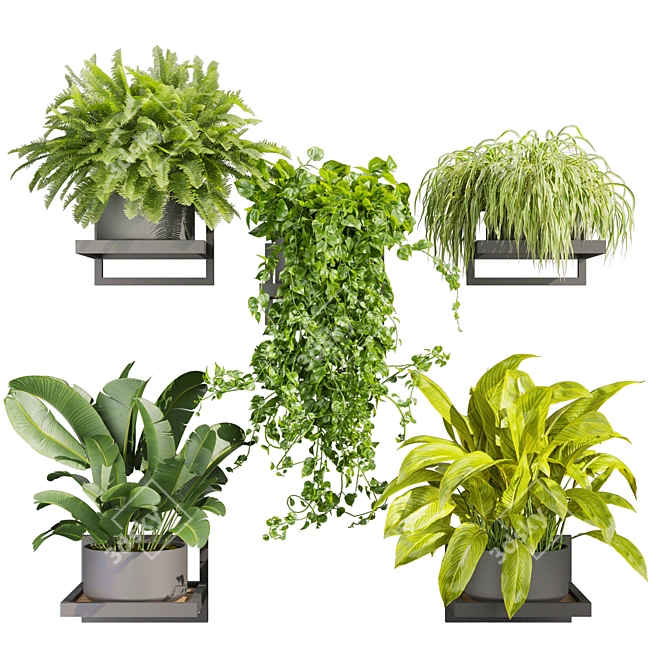 Premium Hanging Plant Collection Vol. 516 3D model image 5