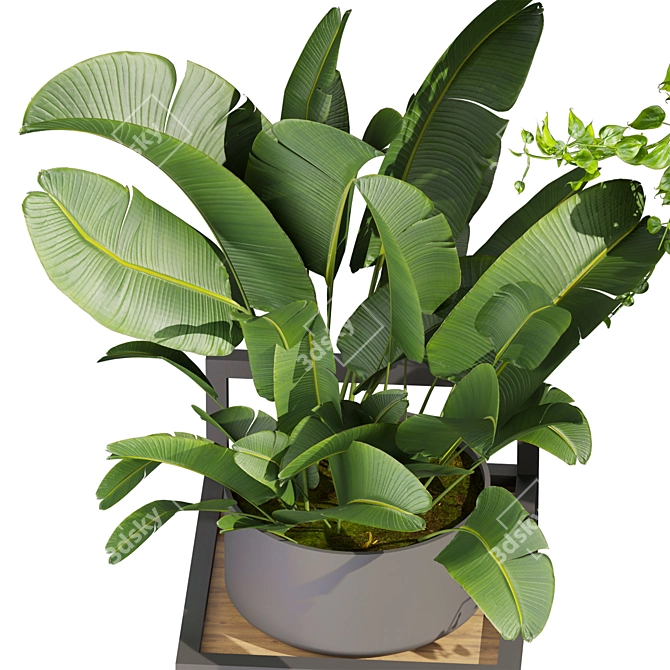 Premium Hanging Plant Collection Vol. 516 3D model image 6