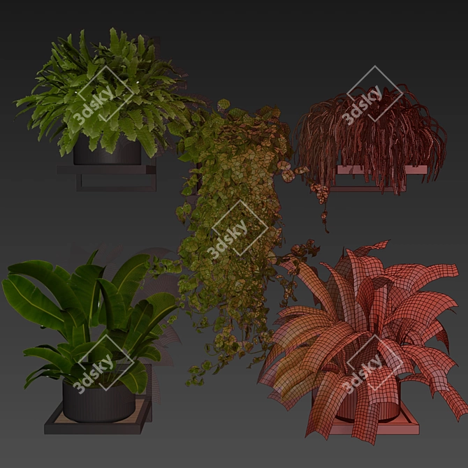 Premium Hanging Plant Collection Vol. 516 3D model image 7