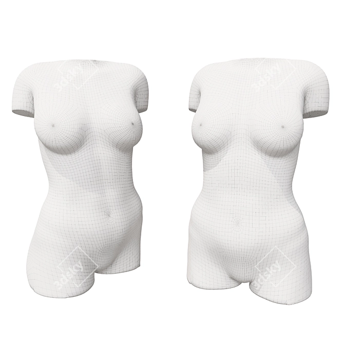 Body_2_Sculpture 2016 Model Kit 3D model image 5