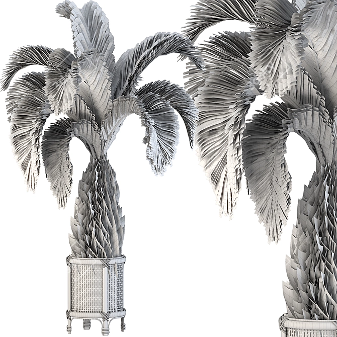  Palm Tree Set 17 Miniature 3D model image 6