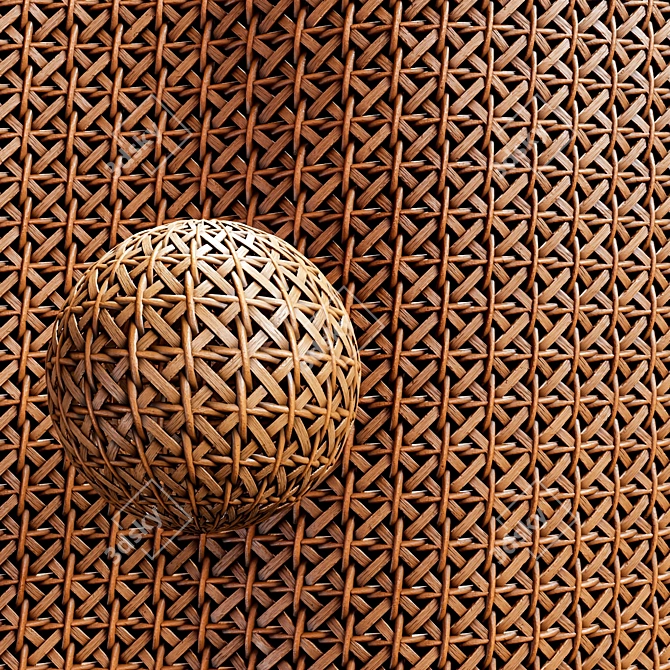Bamboo & Rattan Cane Bundle 3D model image 2