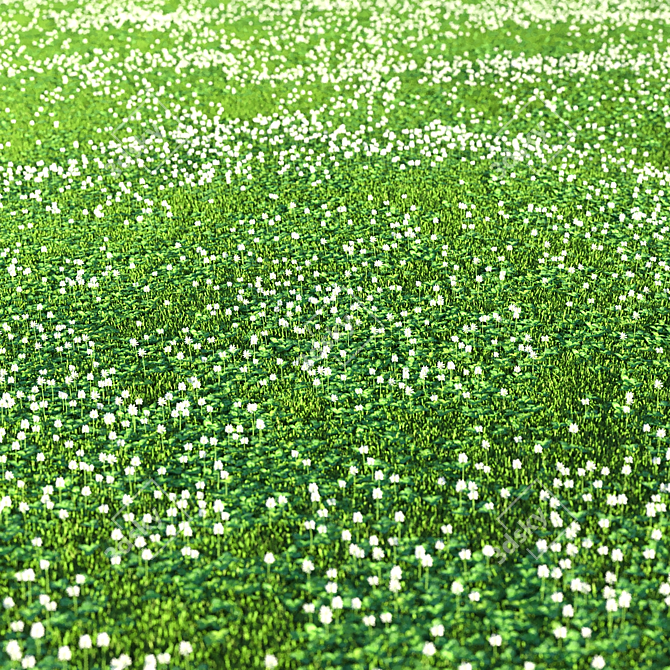 Clover Grass Scene Bundle 3D model image 2