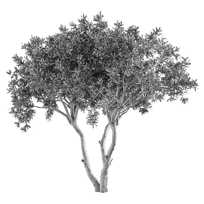 Contemporary Olive Tree Decor Piece 3D model image 4