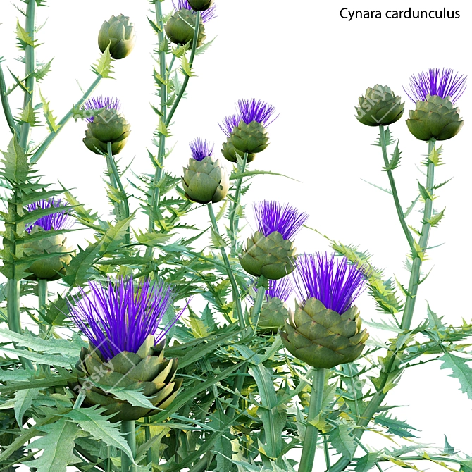  Versatile 3D Plant Library 3D model image 2