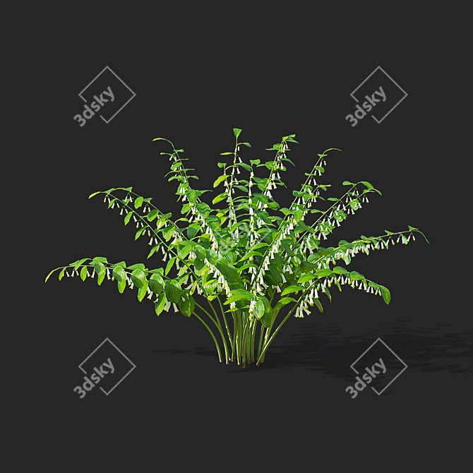 Polygonatum Flower Collection - 3D Models 3D model image 6