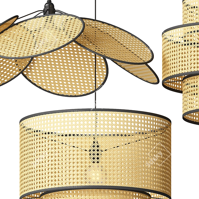 Handmade Rattan Pendant Lamps 3D model image 2