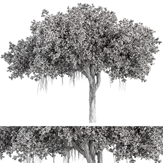 Elegant Chinese Banyan Tree Set 3D model image 3