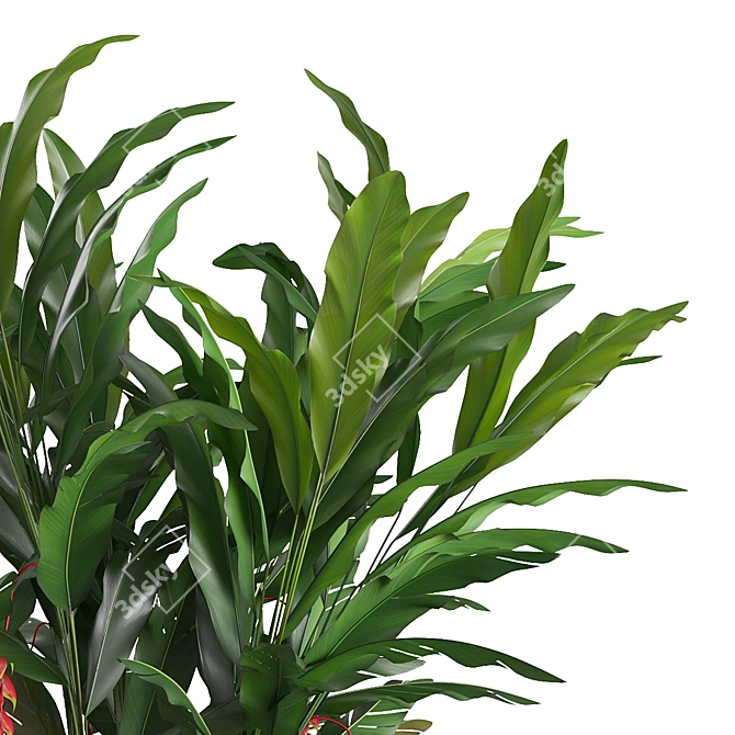 Tropical Potted Plants Set: Heliconia 3D model image 2