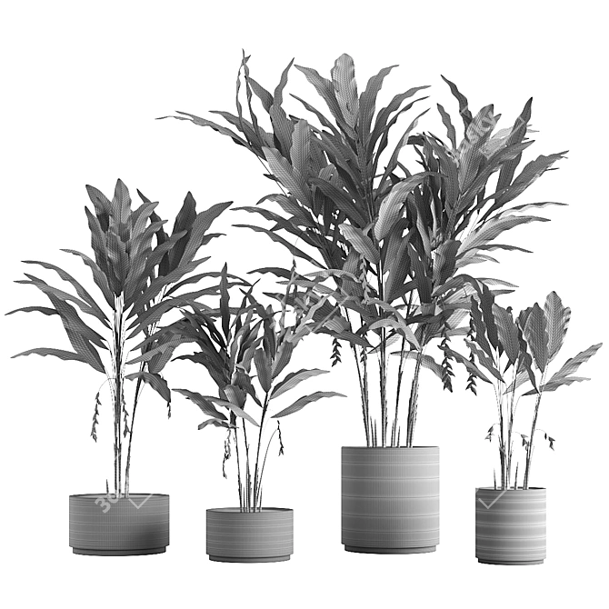 Tropical Potted Plants Set: Heliconia 3D model image 4